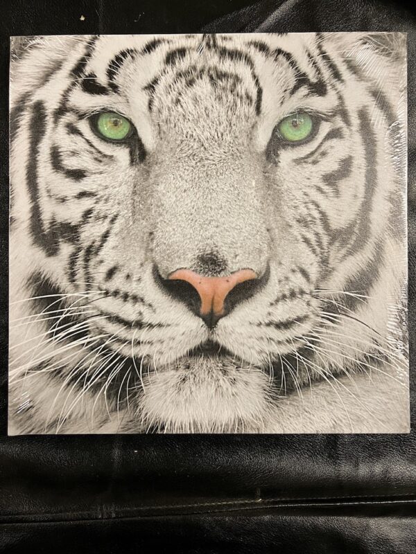 Set van 4 canvas afbeeldingen Leeuw/tijger/panter - Afbeelding 2