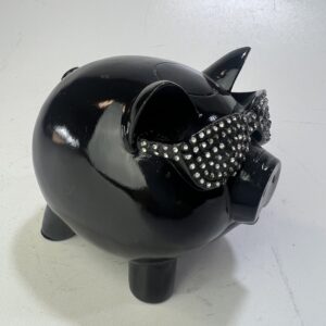 Leuk blits varkentje met bling bling zonnebril zwart