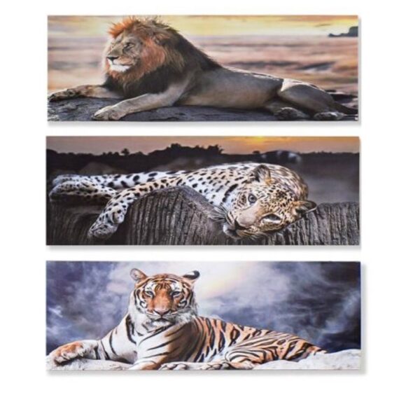 Set van 3 canvas afbeeldingen Leeuw/tijger/panter - Afbeelding 2