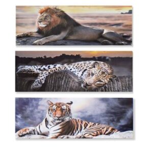 Set van 3 canvas afbeeldingen Leeuw/tijger/panter