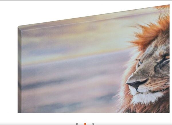 Set van 3 canvas afbeeldingen Leeuw/tijger/panter - Afbeelding 3